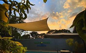 The Mango Park